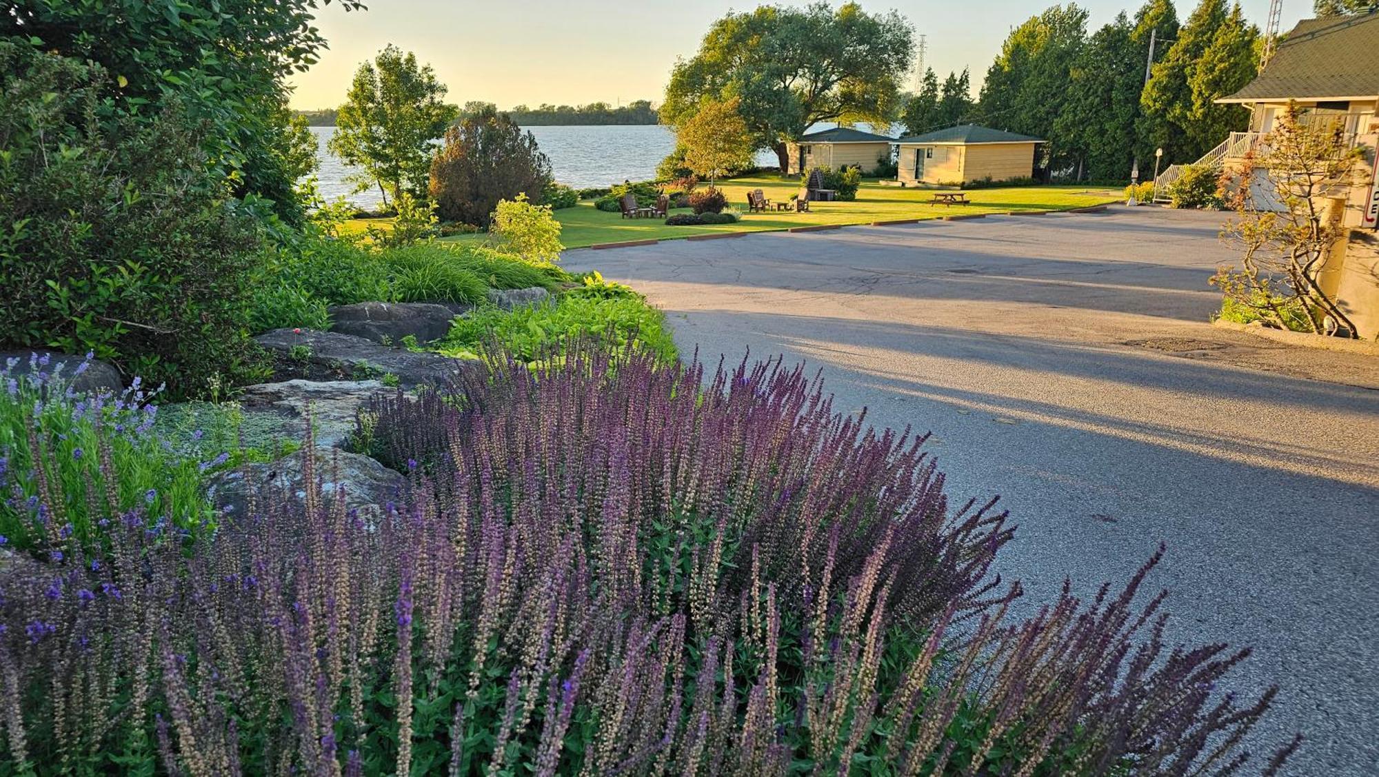 Hotel Oasis Lac St-Louis Salaberry-de-Valleyfield Exteriér fotografie