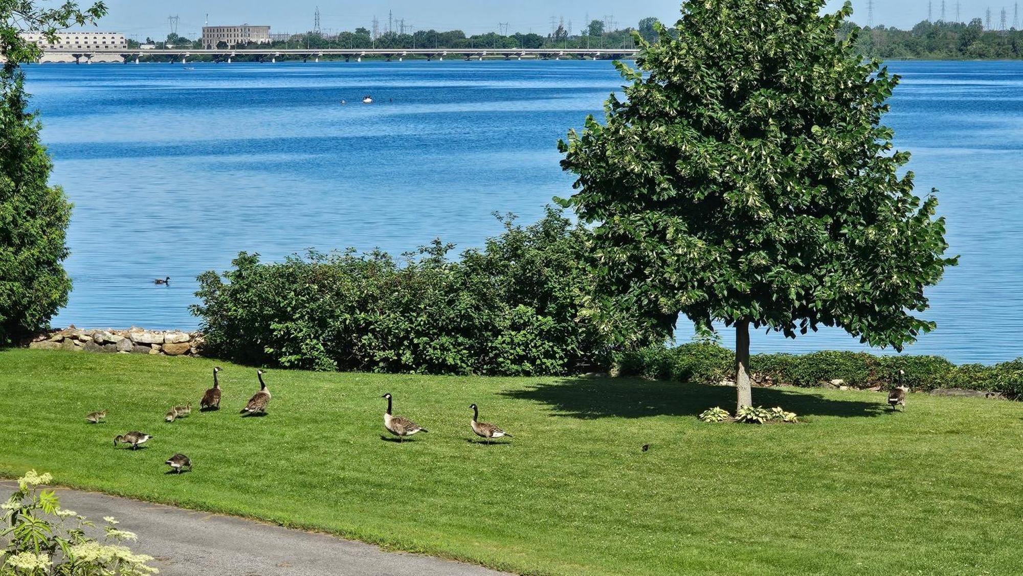 Hotel Oasis Lac St-Louis Salaberry-de-Valleyfield Exteriér fotografie