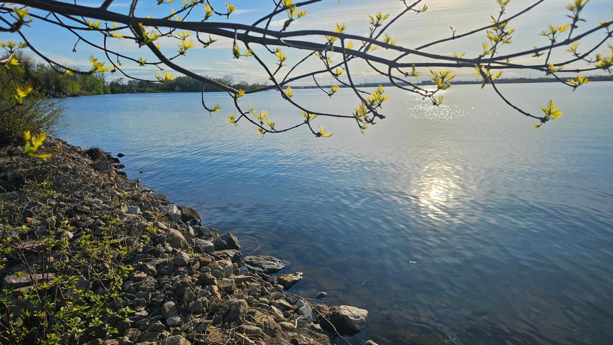 Hotel Oasis Lac St-Louis Salaberry-de-Valleyfield Exteriér fotografie
